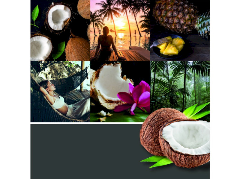 40504_BLACK COCONUT - KOPIE